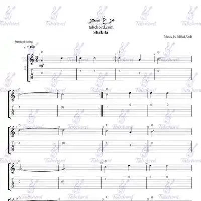 مرغ سحر